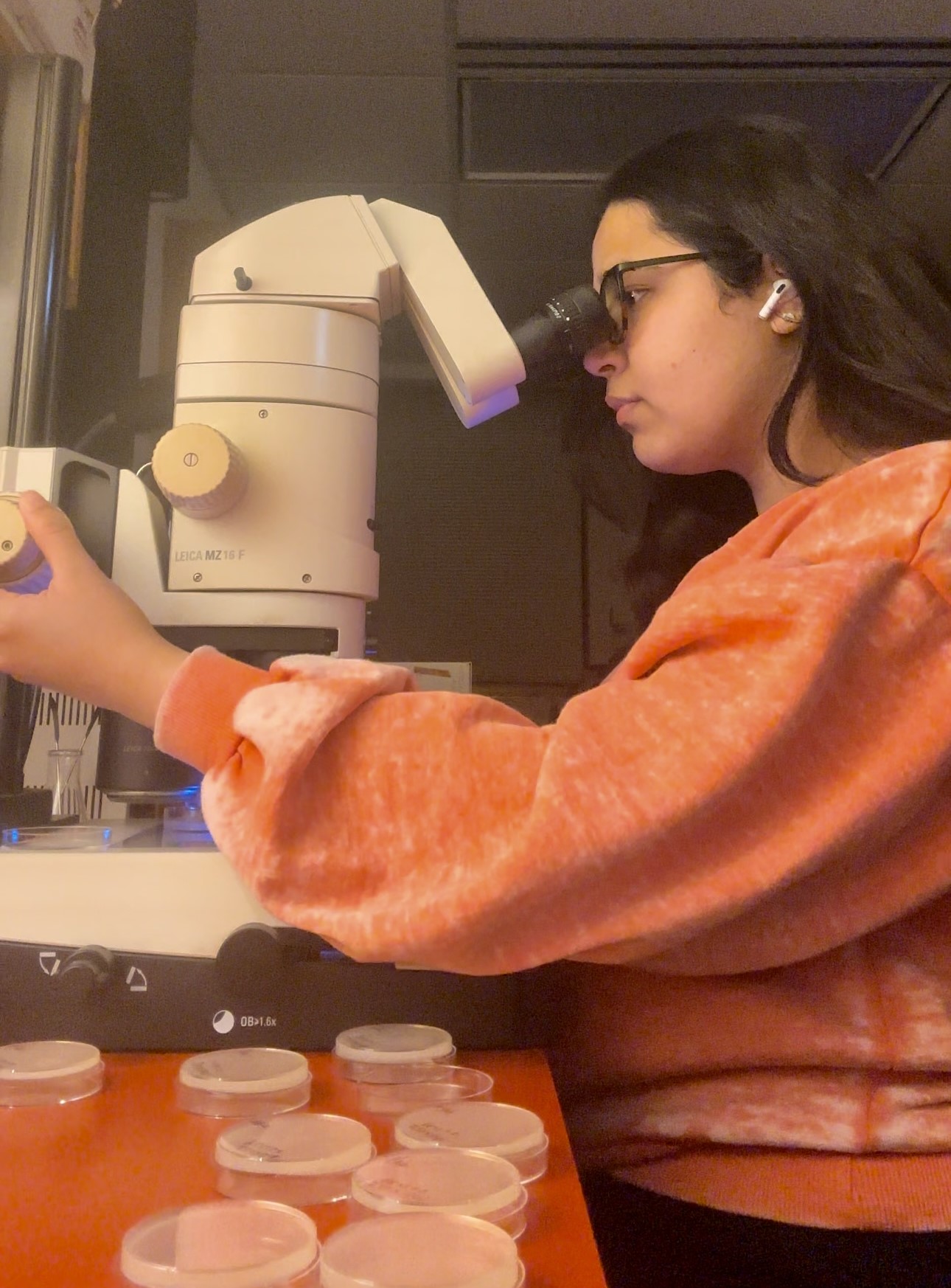 Laiba working at a microscope